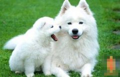 �����������������˺���