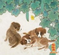 �����������������˺���