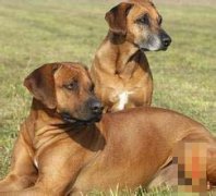 �����������������˺���