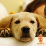 ʮһ�������������˺���