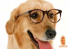 ����������ʱ���˺���