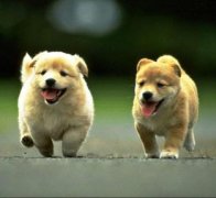 �������ڳ�ʱ���˺���