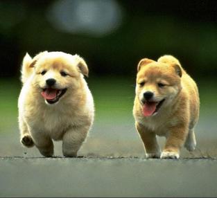 �������ڳ�ʱ���˺���