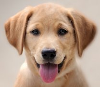 ��������îʱ���˺���