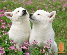 ����������ʱ���˺���