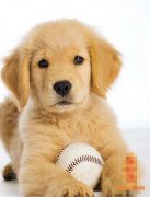 �������ں�ʱ���˺���