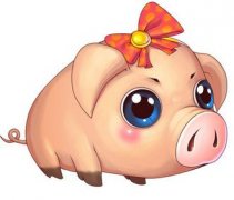 初八日生属猪人命运好吗?