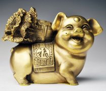 十一日生属猪人命运好吗?