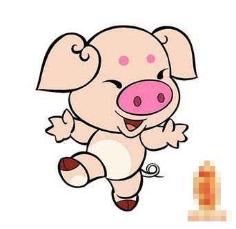 ��ʮ���������������˺���