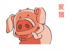 三十日生属猪人命运好吗?