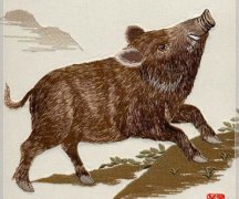 ����������ʱ���˺���