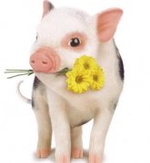 ����������ʱ���˺���