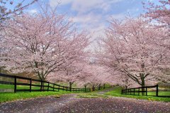 ����ѧ�������������� ��������