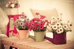 ��ͥ��ˮ���ÿھ�����Щ��