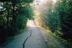 �мǣ������β���ռ��