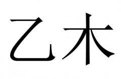 ��ľ����ʲô��˼