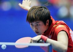 ���¶�������˽�����Ե��ԭ��