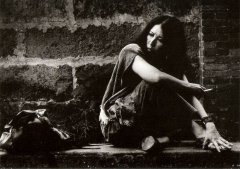 <b>��̨��������ë��������</b>