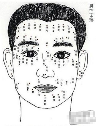 ���׶������������