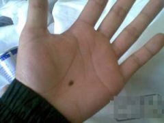 ��������һ���������