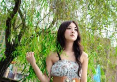 �볤���������в���
