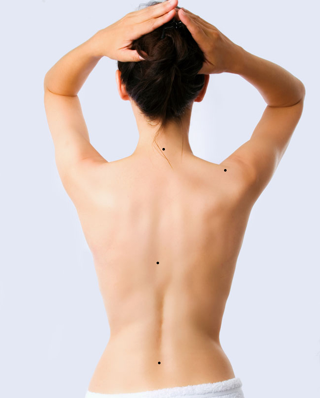 ����ͼ�⣺�󱳳������