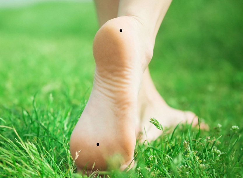 �ŵ������ܸ���һ����