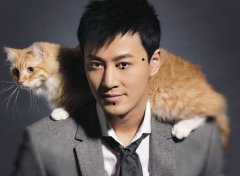 �������ϵ��뿴������