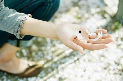 �����к����Ǽ�����