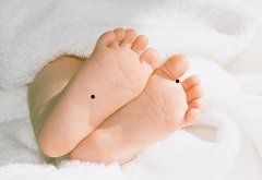 Ԥʾ�㸻�����������