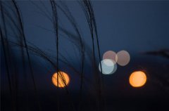 �ȵ���2018����������Ħ����