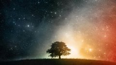 ��ɯ2018�������˳�������