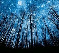 ����2018��7�����󲥱�