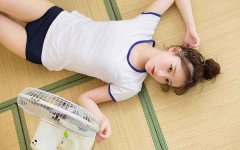 ��ɺ����2019��1�������˳̰�����