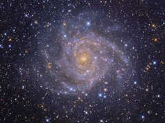 ����2019�������˳������