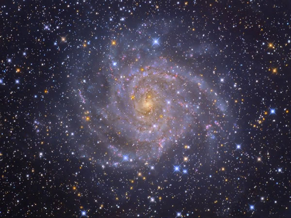 ����2019�������˳������