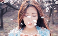 ������2020������������