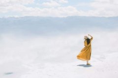 ��ɺ����2019��11���������������