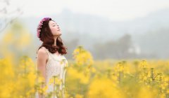 ��ţ��2022�����Ƽ��˳���� 2022��ţ��ȫ������������