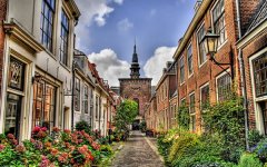 ��ɺ���մ�Ů��2022��1�������˳�