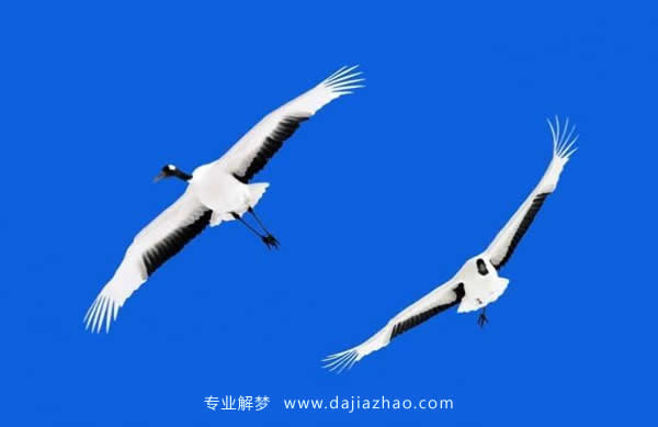 �μ��� �μ���Ԥʾ��ʲô����