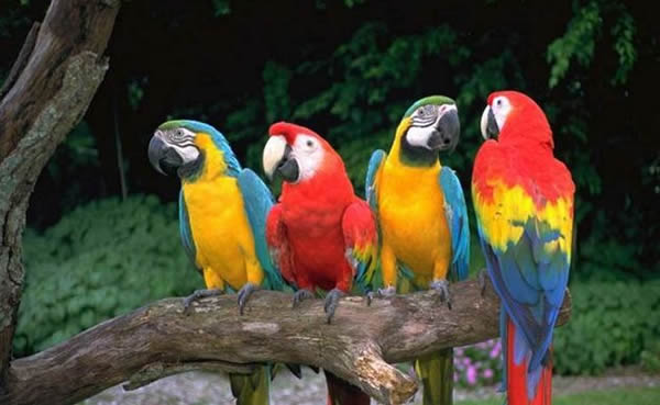 �μ����ĺò��� �μ�������ʲôԤ��