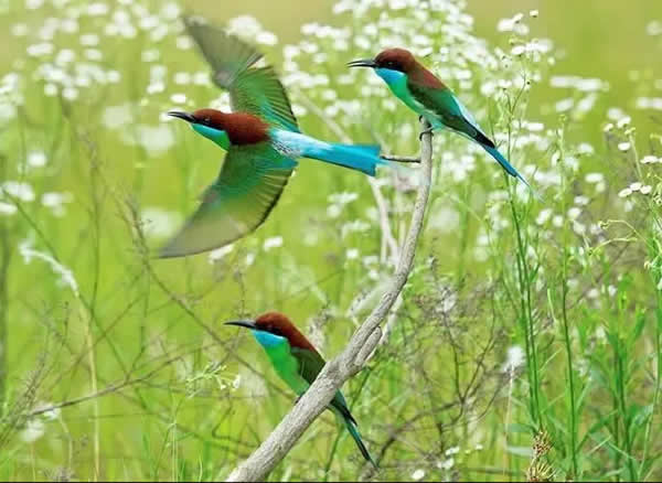 �μ��� �μ���� �μ���кò���