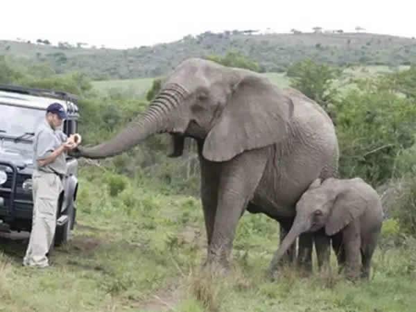 �μ����� �μ�����ò���