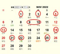 2022��11�°�Ҽ��ղ�ѯ