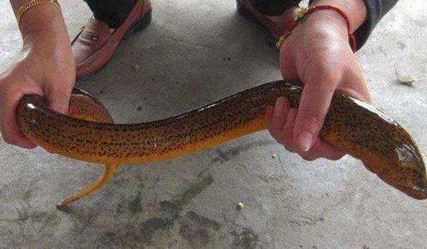 �μ����� �ܹ������μ�����