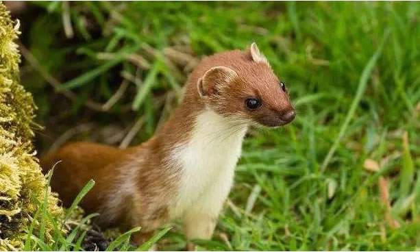 �μ������� �ܹ������μ�������