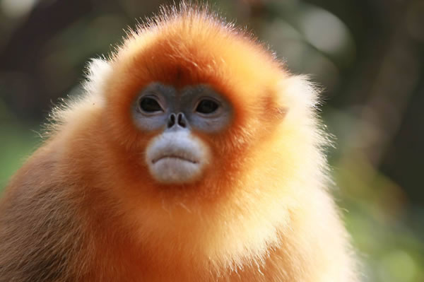 �μ���˿�� �μ���˿��ò���