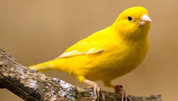 �μ���˿ȸ �μ���˿��