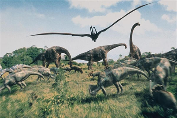 �μ����� �ܹ������μ�����